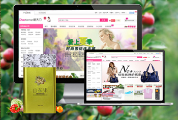 ��������������̳�