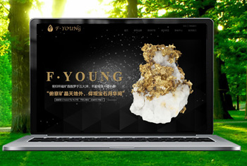 ��������������ﱦʯ